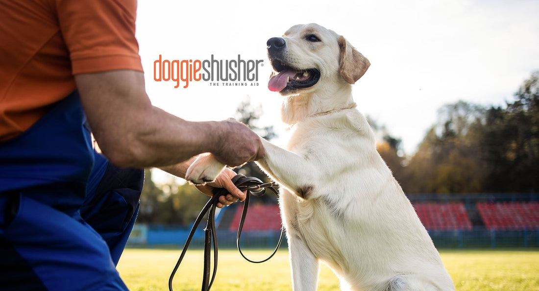Doggie Shusher: The Ultimate Solution for a Calm and Happy Pup