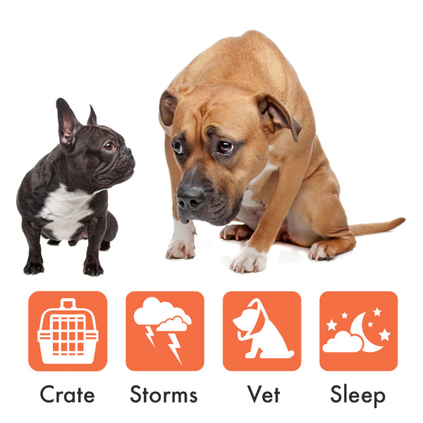 Doggie Shusher - Portable Dog Calming Machine