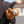 Shusher Sloth Plush Sound Machine