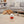 Doggie Shusher Calming Sound Machine
